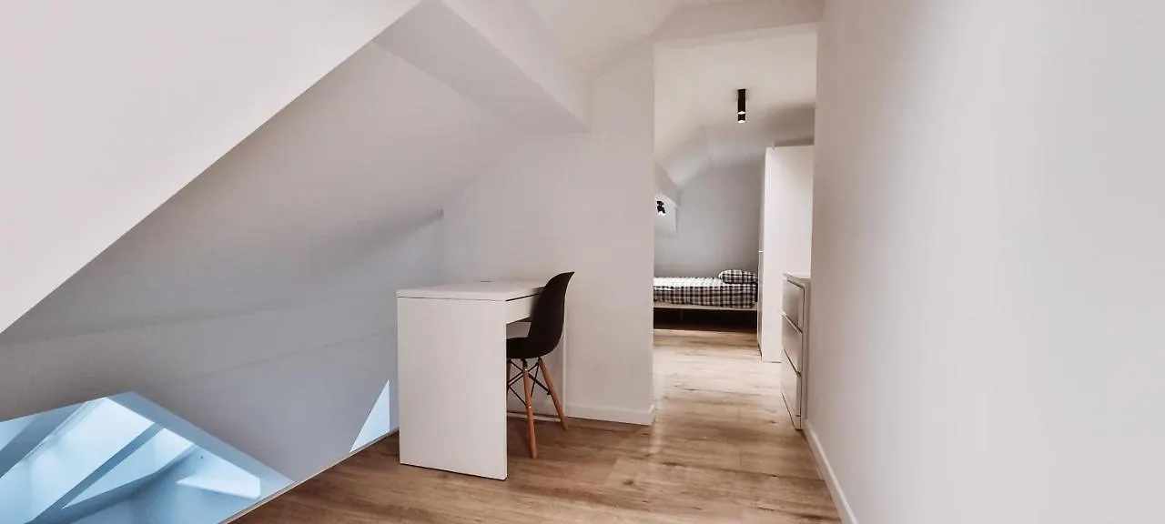 Cozy Spacious Apartment 7