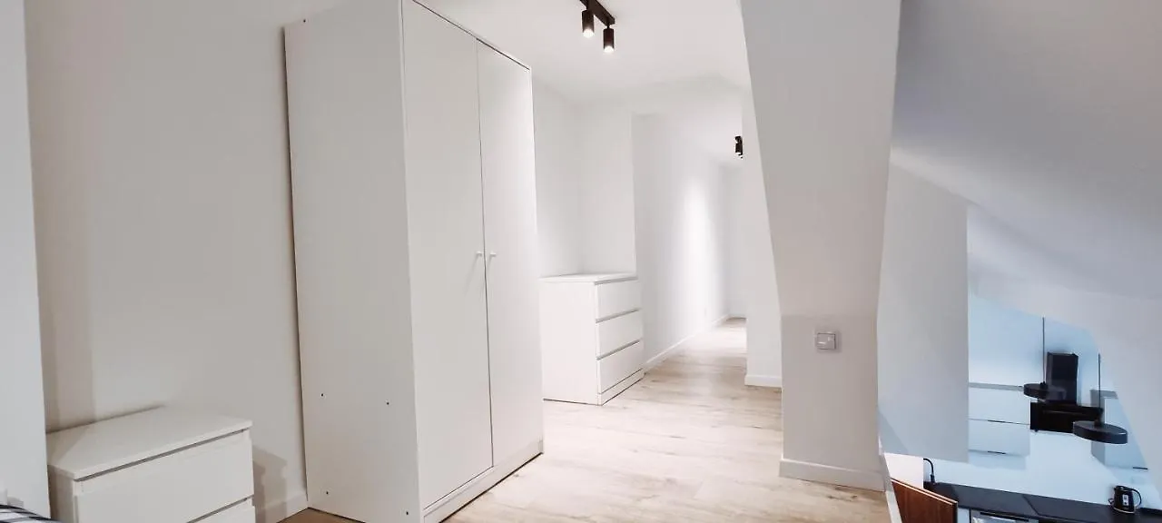 Cozy Spacious Apartment 7