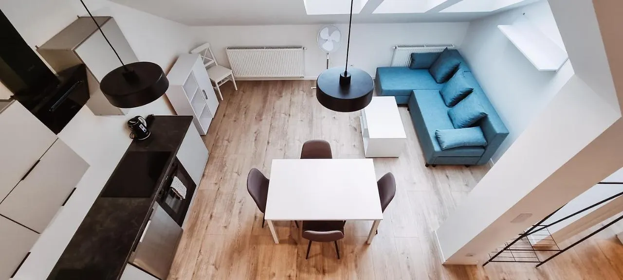Cozy Spacious Apartment 7