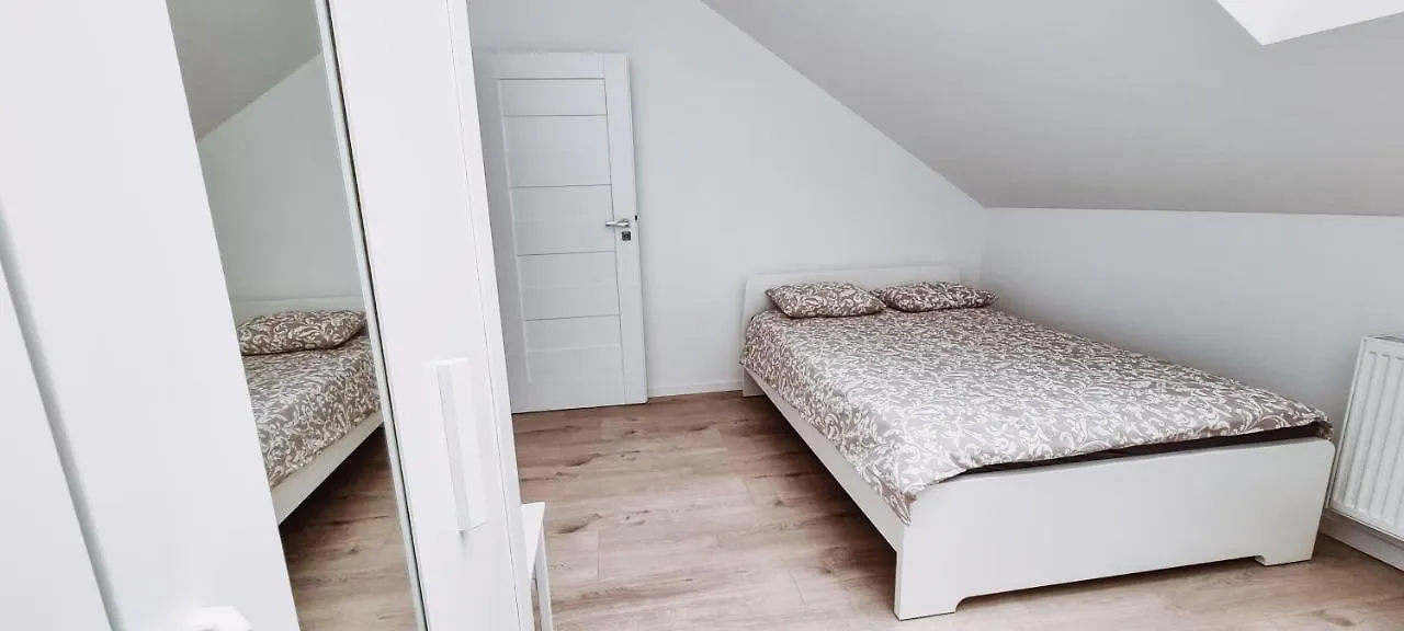 Cozy Spacious Apartment 7