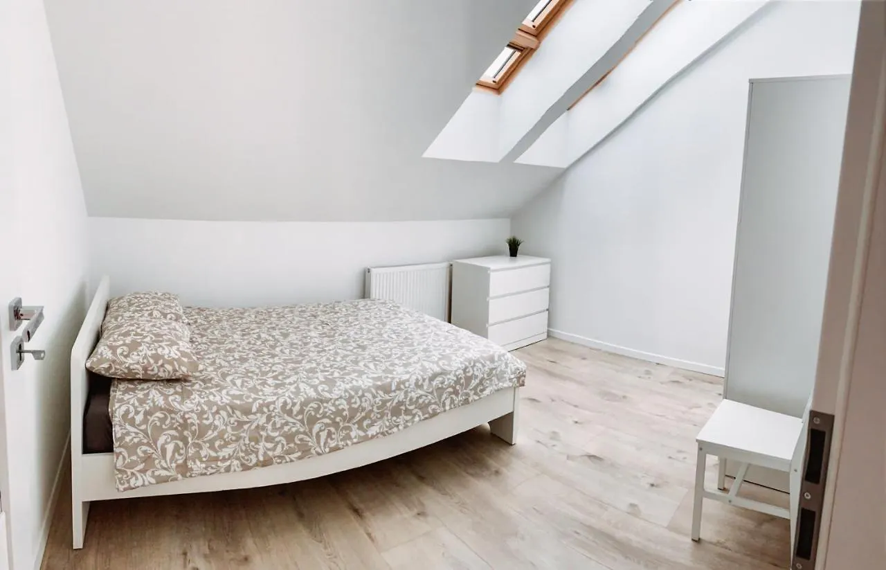 Cozy Spacious Apartment 7 Poland