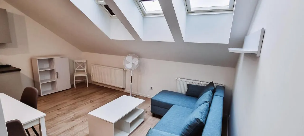 Cozy Spacious Apartment 7